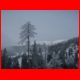 wildfeld_01-10_07.jpg