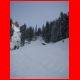 wildfeld_01-10_09.jpg