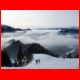 wildfeld_01-10_18.jpg