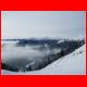 wildfeld_01-10_19.jpg