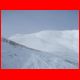 wildfeld_01-10_27.jpg