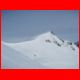wildfeld_01-10_32.jpg