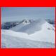 wildfeld_01-10_38.jpg