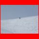 wildfeld_01-10_46.jpg