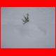 wildfeld_01-10_55.jpg