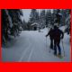 larchkogel_02-2010_06.jpg