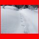 10_spielkogel_03-10_13.jpg