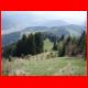 haneggkogel_04-10_14.jpg