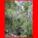 bs_klamm-hochl_06-10_14.jpg