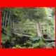 bs_klamm-hochl_06-10_46.jpg