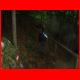 bs_klamm-hochl_06-10_63.jpg