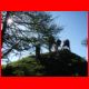 reiting_06-10_05.jpg