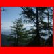 reiting_06-10_07.jpg