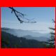 reiting_06-10_08.jpg