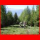 reiting_06-10_10.jpg