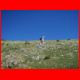 reiting_06-10_18.jpg