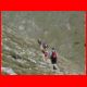 reiting_06-10_27.jpg