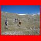 reiting_06-10_28.jpg