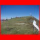 reiting_06-10_51.jpg