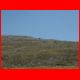 reiting_06-10_55.jpg