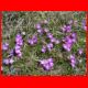 reiting_06-10_58.jpg