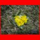 reiting_06-10_60.jpg