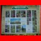 reiting_06-10_63.jpg
