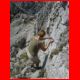 tac_spitze_07-10_29.jpg