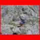 innsbrucker_ks_07-10_31.jpg