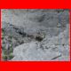 innsbrucker_ks_07-10_61.jpg