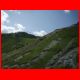 innsbrucker_ks_07-10_84.jpg
