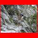 rax_08-10_54.jpg