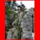 rax_08-10_61.jpg