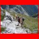 kaisers+hochkogel_08-10_66.jpg