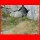 schweiz_09-10_019.jpg