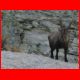 schweiz_09-10_095.jpg