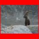 schweiz_09-10_099.jpg