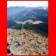 39_rappoldkogel_11-10_29.jpg