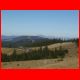 39_rappoldkogel_11-10_37.jpg