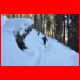 buchbergkogel_12-10_10.jpg