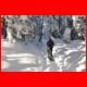 buchbergkogel_12-10_23.jpg