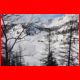 buchbergkogel_12-10_37.jpg
