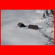 buchbergkogel_12-10_38.jpg