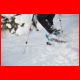 buchbergkogel_12-10_81.jpg