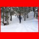 buchbergkogel_12-10_90.jpg