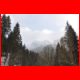 wildfeld_12-10_05.jpg