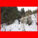 wildfeld_12-10_10.jpg