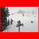wildfeld_12-10_16.jpg