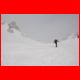 wildfeld_12-10_18.jpg
