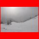 wildfeld_12-10_19.jpg